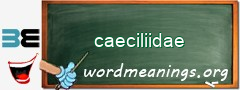 WordMeaning blackboard for caeciliidae